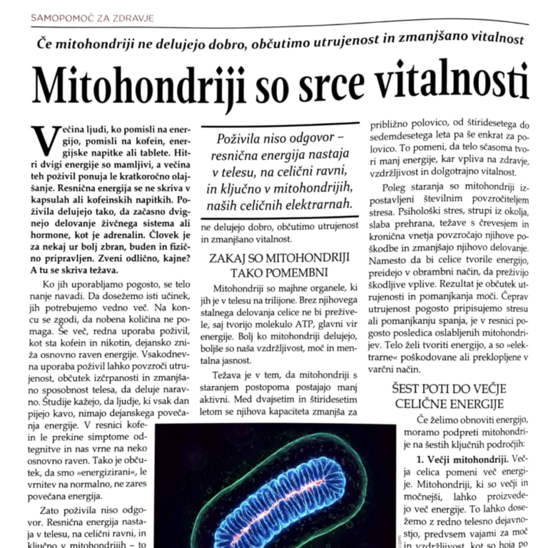 Mitohondriji: Tam, kjer se vse začne